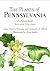 The Plants of Pennsylvania: An Illustrated Manual