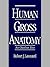 Human Gross Anatomy: An Outline Text