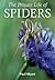 The Private Life of Spiders