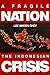A Fragile Nation: The Indon...