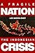 A Fragile Nation: The Indonesian Crisis