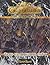 RuneQuest Glorantha: The Clanking City