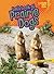 Let's Look at Prairie Dogs (Lightning Bolt Books ® ― Animal Close-Ups)