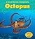 Octopus by Louise Spilsbury