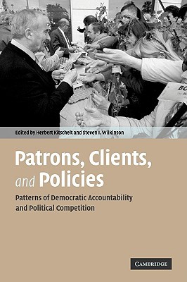 Patrons, Clients and Policies: Patterns of Democratic Accountability and Political Competition (Paperback)