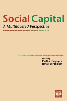 Social Capital: A Multifaceted Perspective (Paperback)