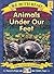 Animals Under Our Feet by Sindy McKay
