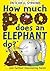 How Much Poo Does an Elephant Do?