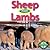 Sheep Have Lambs (Animals and Their Young)