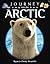 Journey into the Arctic