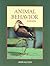 Animal Behavior: An Evolutionary Approach, 8th Edition