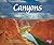 Canyons (Natural Wonders)