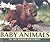 Baby Animals of the Woodland Forest (Nature's Baby Animals)