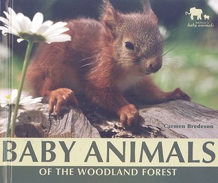 Baby Animals of the Woodland Forest (Nature's Baby Animals)
