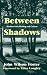 Between Shadows: Modern Iri...