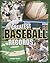 The Greatest Baseball Records (Edge Books: Sports Records)