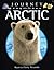Journey into the Arctic