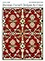 Persian Carpet Designs (International Design Library)