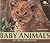 Baby Animals of the Grasslands (Nature's Baby Animals)