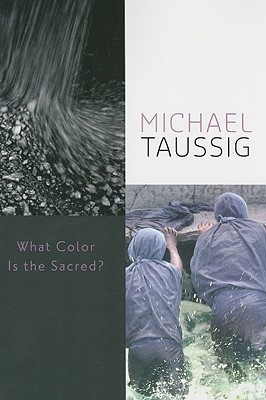 What Color Is the Sacred? (Paperback)