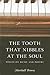 The Tooth That Nibbles at the Soul: Essays on Music and Poetry (Literary Conjugations)