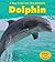Dolphin (A Day In The Life: Sea Animals)