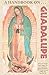 A Handbook on Guadalupe