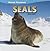 Seals (Marine Mammals)