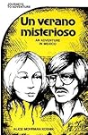 Journeys to Adventure: Un Verano Misterioso: An Adventure in Mexico