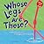 Whose Legs Are These? by Peg Hall