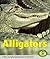 Alligators (Early Bird Nature Books)