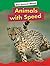 Animals With Speed (Amicus Readers Level 1: Our Animal World)