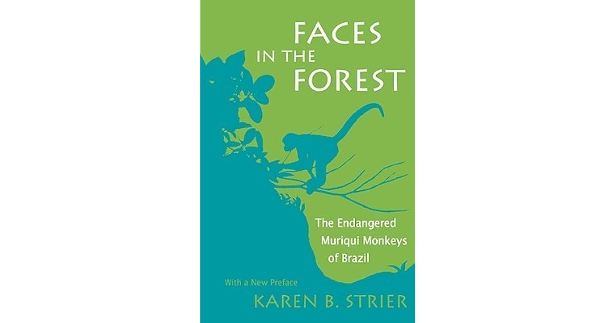 Faces In The Forest The Endangered Muriqui Monkeys Of