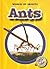Ants