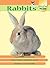 Rabbits (Practical Pet Care)