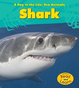 Shark (A Day In The Life: Sea Animals)