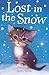 Lost in the Snow
