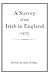 A Survey of the Irish in England (1872)