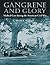 Gangrene and Glory: Medical Care during the American Civil War
