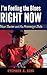 I'm Feeling the Blues Right Now: Blues Tourism and the Mississippi Delta (American Made Music Series)