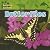 Butterflies (Amazing Animals)