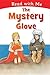 The Mystery Glove by Nick Page