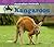 Kangaroos
