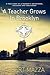 A Teacher Grows in Brooklyn: A True Story of a Teacher's Adventures, Successes and Challenges