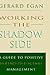 Working the Shadow Side: A ...