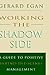 Working the Shadow Side by Gerard Egan