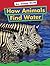 How Animals Find Water (Amicus Readers Level 1: Our Animal World)