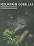 Mountain Gorillas: Biology,...