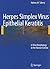 Herpes Simplex Virus Epithelial Keratitis: In Vivo Morphology in the Human Cornea
