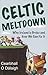 Celtic Meltdown: Why Ireland is Broke and How We Can Fix It